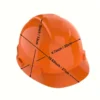 Industrial Forestry Safety Helmet